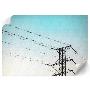 Plagát na stenu Vtáky na drôtoch