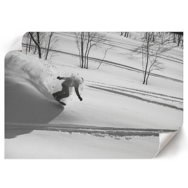 Plagát Biele dobrodružstvo