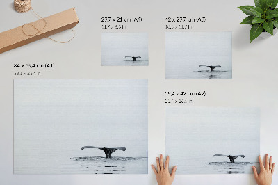 Plagát „Oceánsky pokoj”