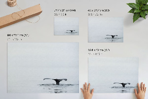 Plagát Oceánsky pokoj