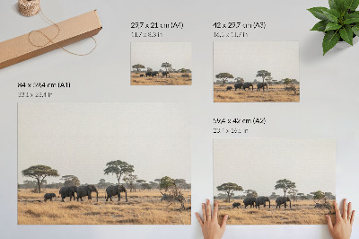 Plagát s motívom africkej savany