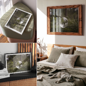 Poster Odraz borovice