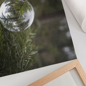 Poster Odraz borovice