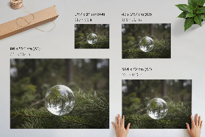 Poster Odraz borovice