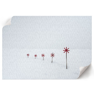 Plagát Zimný minimalizmus