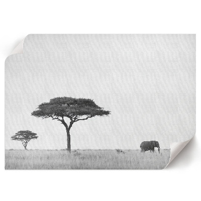 Poster s motívom africkej savany