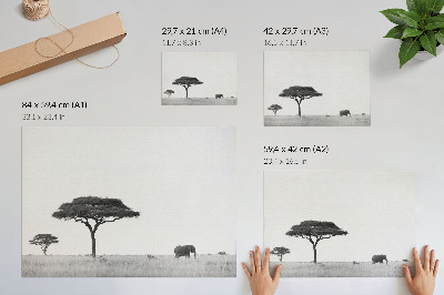 Poster s motívom africkej savany