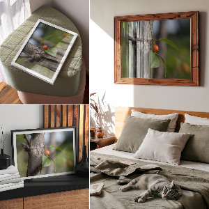 Plagát Ovocie na konári