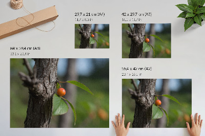 Plagát s motívom ovocia na konári