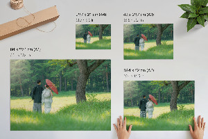 Plagát Japonský pár