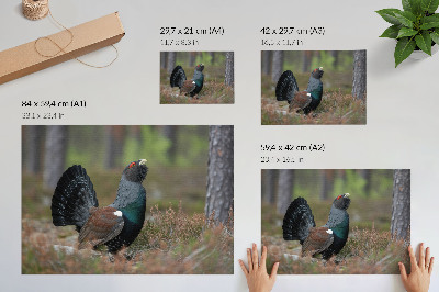 Plagát „Vták v lese