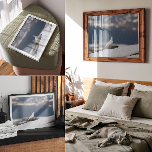 Plagát na stenu Snežný vták