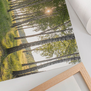 Plagát na stenu Lesný pokoj