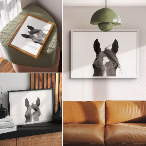 Plagát Konské uši