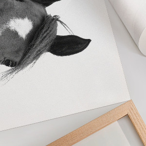 Plagát Konské uši