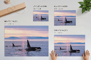 Poster Prímorská krajina