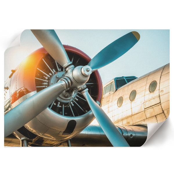 Plagát na stenu Detaily lietadla