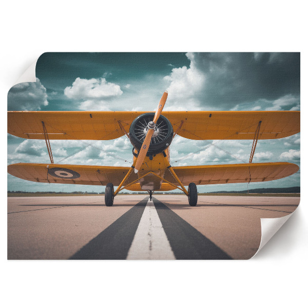 Plagát na stenu Vzlietajúce lietadlo