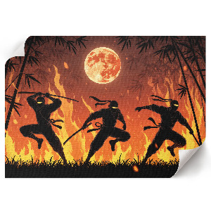 Poster Noční ninjovia