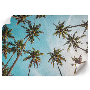 Plagát Exotická nálada