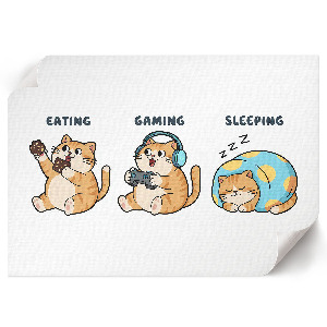 Plagát Život mačky