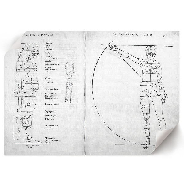 Poster Kresba človeka