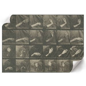 Plagát na stenu Pohyb zvierat