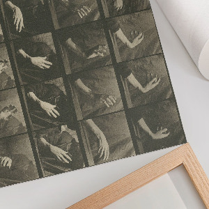 Plagát na stenu Pohyb zvierat