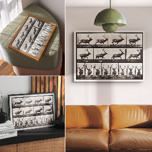 Plagát Pohyb zvierat