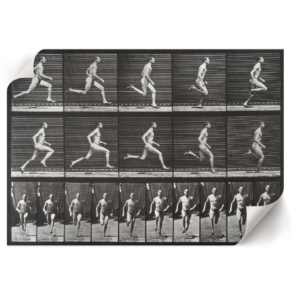 Poster Pohyb zvierat