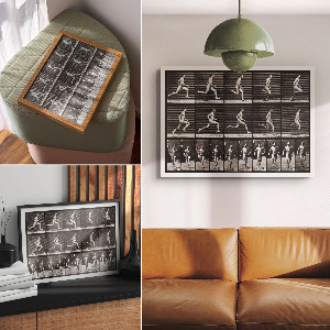 Poster Pohyb zvierat