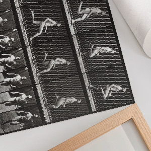 Poster Pohyb zvierat