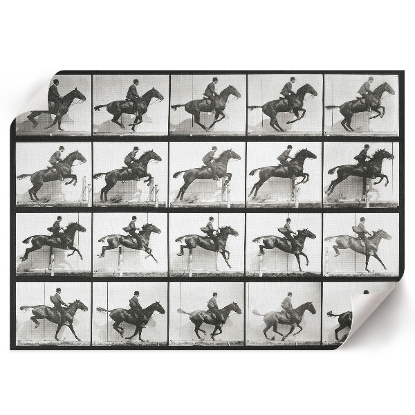 Plagát na stenu Jazda na koni