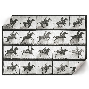 Plagát na stenu Jazda na koni