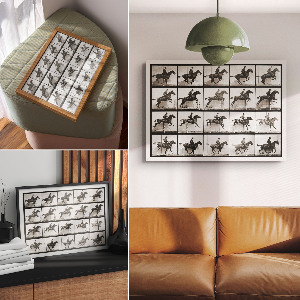 Plagát na stenu Jazda na koni