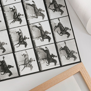 Plagát na stenu Jazda na koni