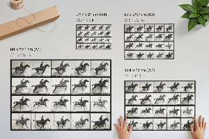 Plagát na stenu Jazda na koni