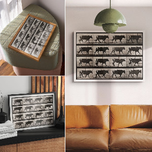 Poster Býk na pochode