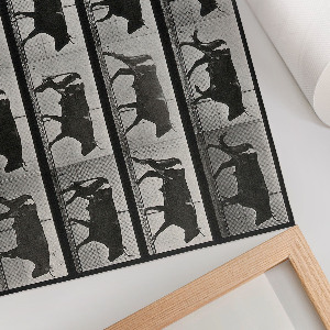 Poster Býk na pochode