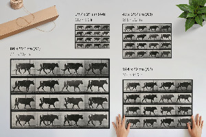 Poster Býk na pochode