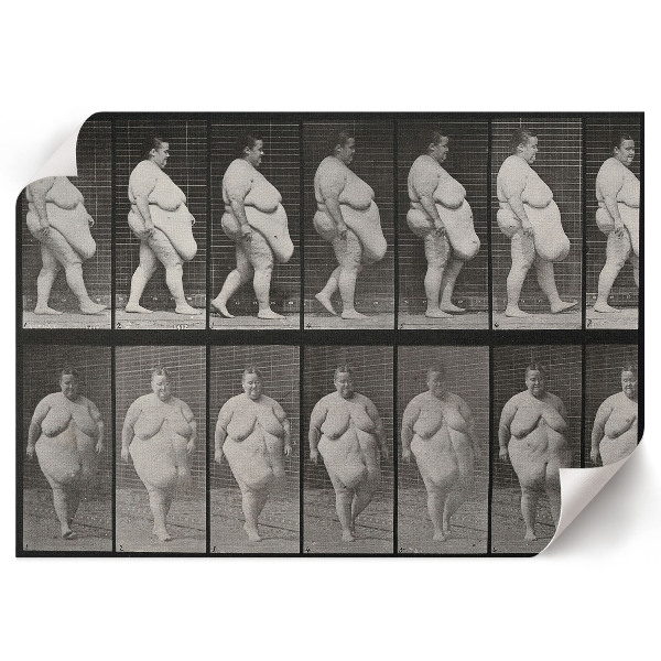 Plagát Obézna žena