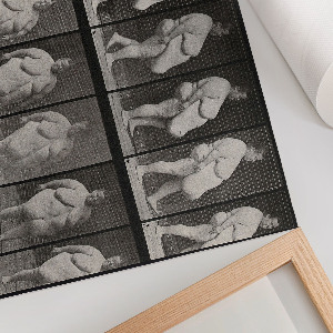 Plagát Obézna žena