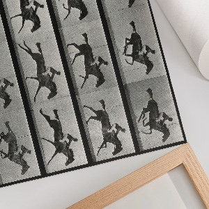 Poster Cválajúci kôň