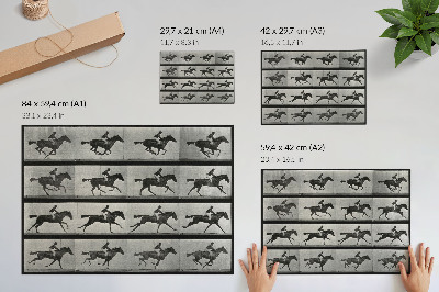 Poster s motívom cválajúceho koňa