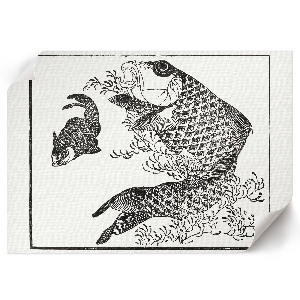 Plagát na stenu Kapor