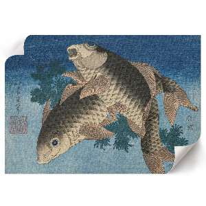 Plagát Kapor v morských riasach