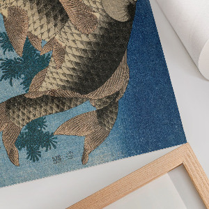 Plagát Kapor v morských riasach