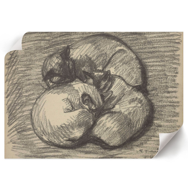 Plagát na stenu Mačky