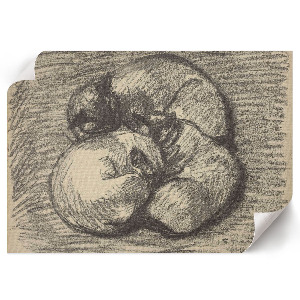 Plagát na stenu Mačky