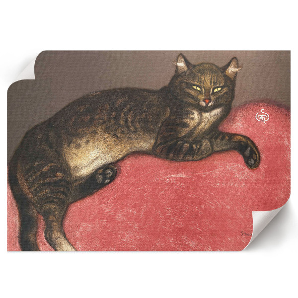 Poster Mačka na vankúši